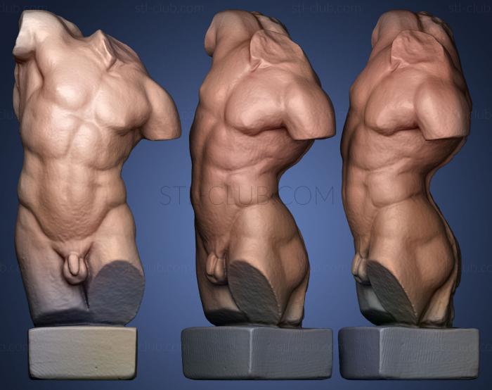 3D model Torso de Hercules (STL)